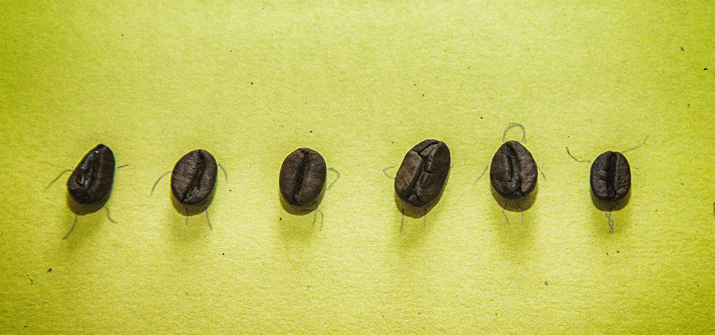 Kultura susreta u kafićima ukorenjena u našem društvu