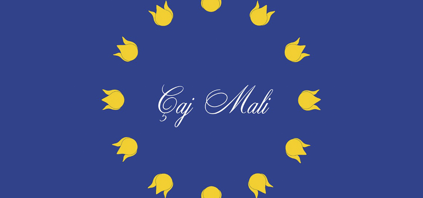 Tehnologija pobeđuje birokratiju uz pomoć imigranata