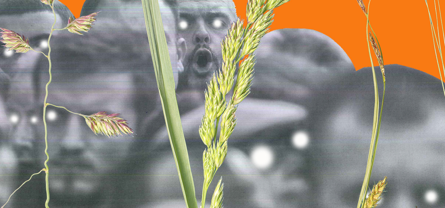 Brewing culture for the crowds