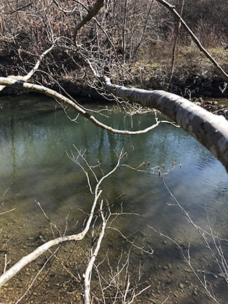 <p style="font-size: 20px; font-weight: bold;">29</p><br />
<br />
Went fishing in the river Krivaja. Caught six, released three. The moment I arrived at the riverbank, I took off my mask, immediately forgetting everything about the madness in Sarajevo.<br />
<br />
The redemptive power of fishing and gazing at the water, being surrounded by another kind of silence, different from the unnatural one found in an urban center, is such that I told myself what Leonard Cohen told himself just days before his death: “I am ready to die.”<br />
<br />
<p style="font-size: 20px; font-weight: bold;">30</p><br />
<br />
In a few months’ time, we’ll all be hippies.<br />
<br />
“Globetrotter” is a dead word.