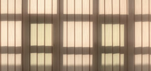 Njeriu i njëjtë, mëngjese të kundërta