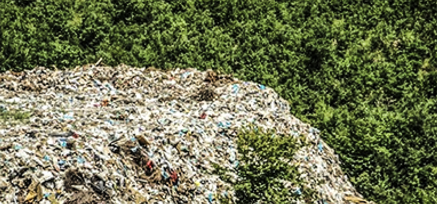 The ecological state?