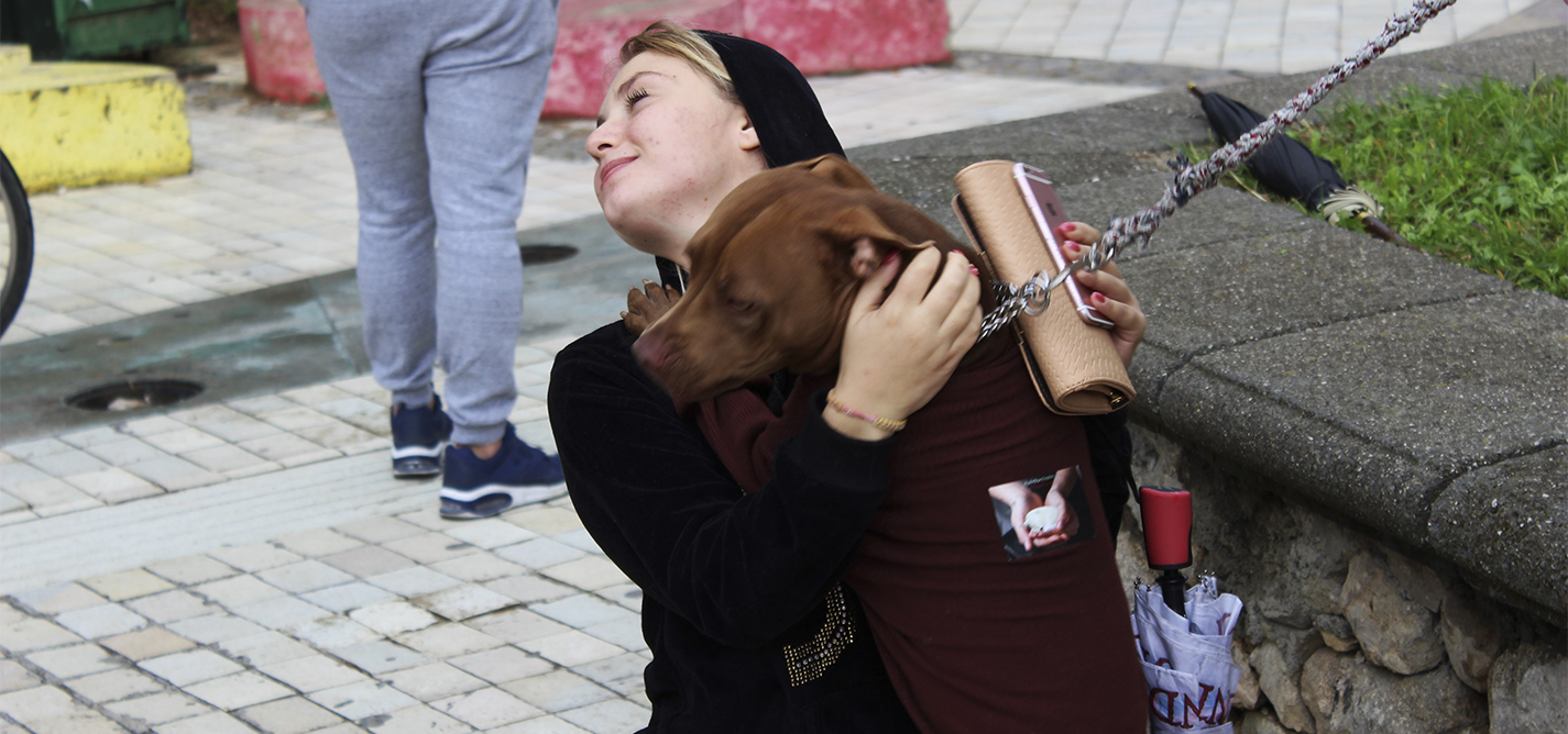 Taking care of Albania’s animals