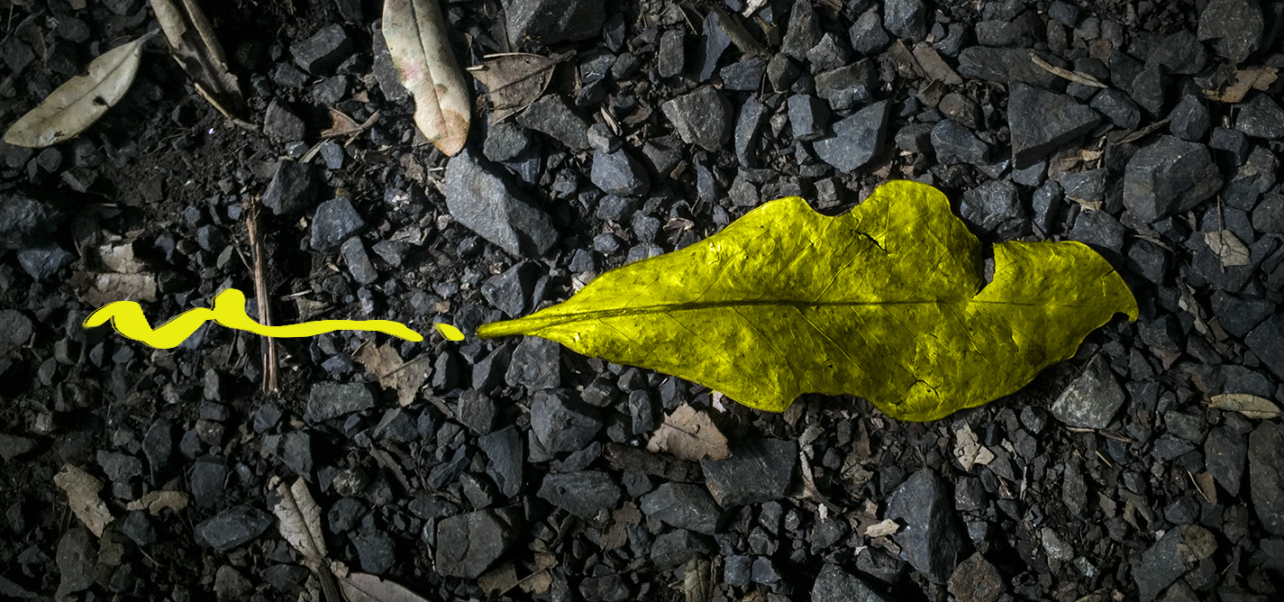 Produženi rok za prijavu: Program stipendiranja novinara u oblasti ljudskih prava