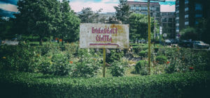 Sistemi i shëndetësisë nën llupë