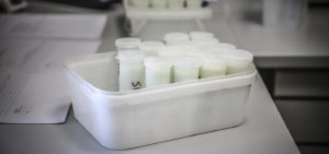 Lack of food safety in Kosovo threatens public health