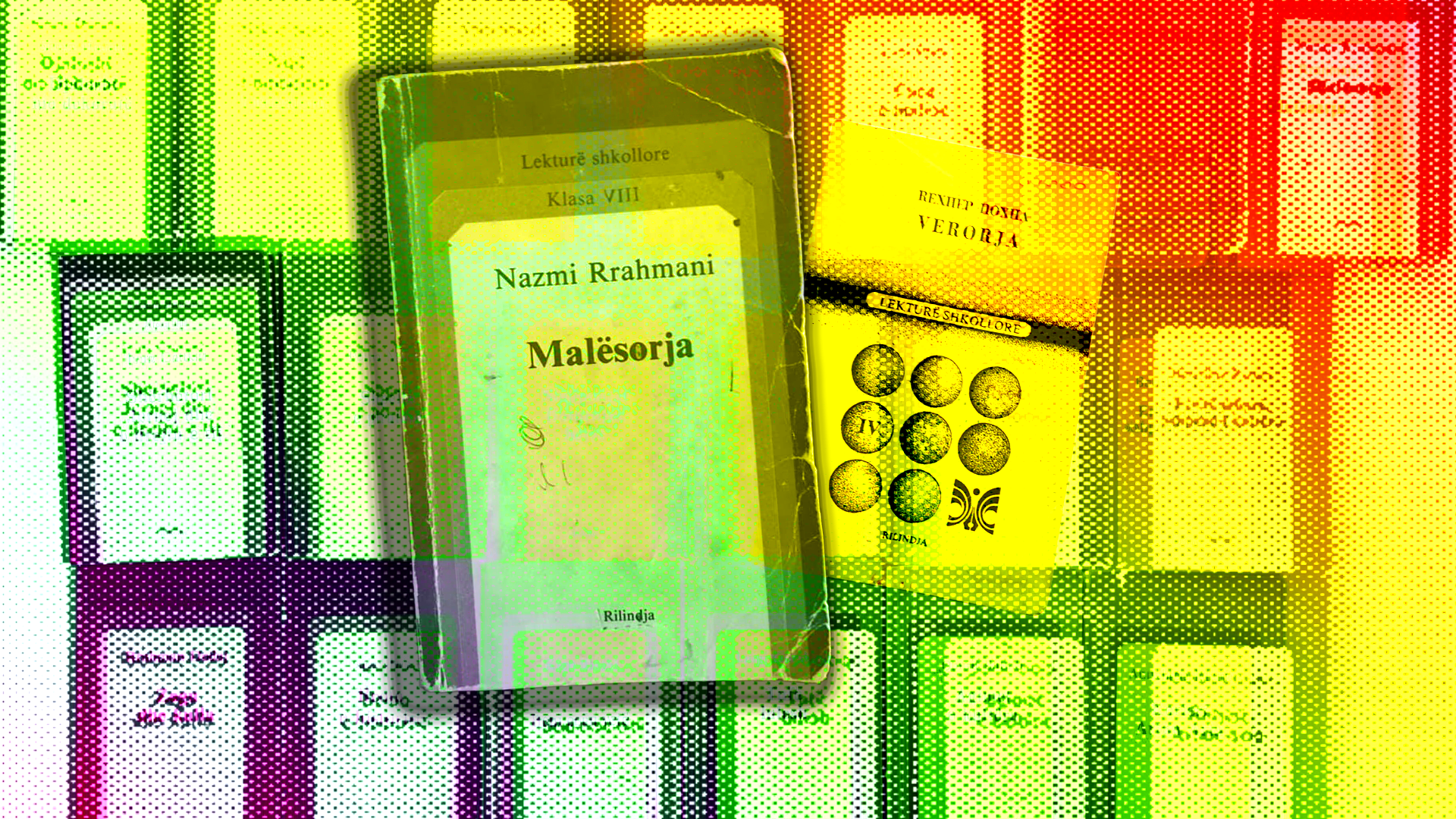 “Nedodirljiva” literatura u školama Kosova