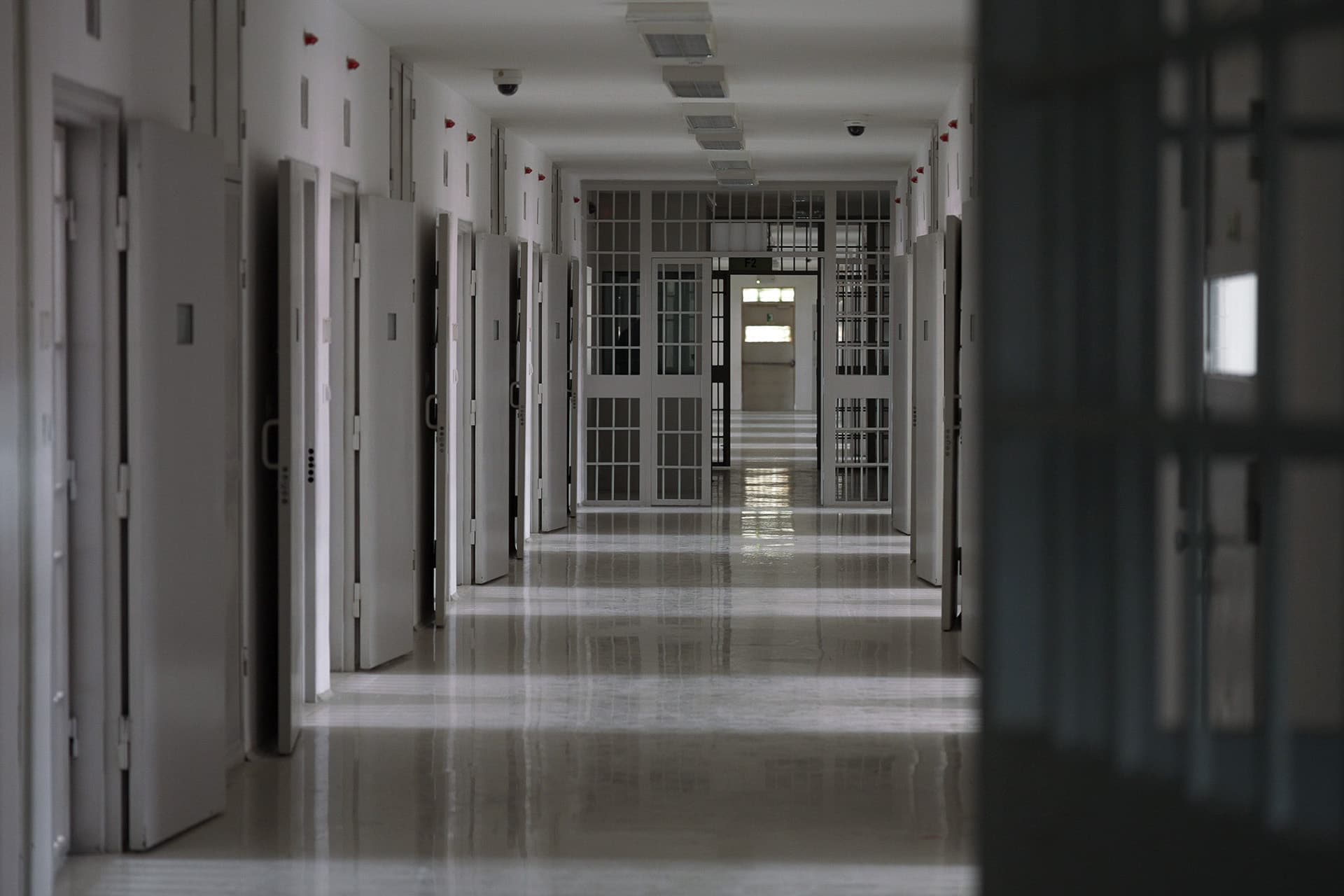 Të lirë, por të përjashtuar