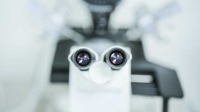 Drejt prindërimit me IVF